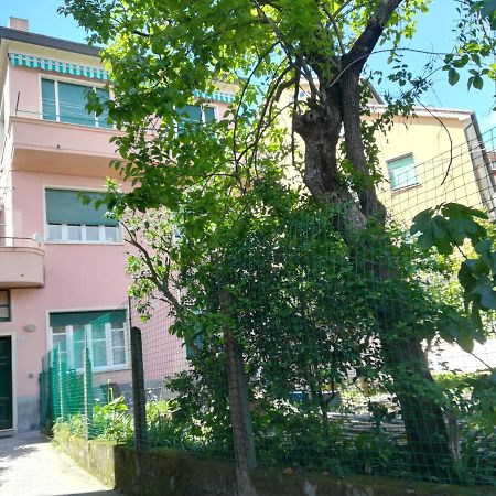 Casa Delle Arance Apartment Monterosso al Mare Exterior photo